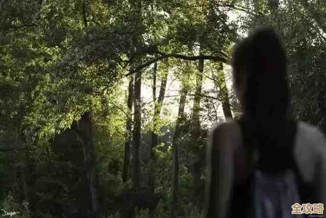 系统还原技术：安全恢复丢失数据，轻松回到过去时刻