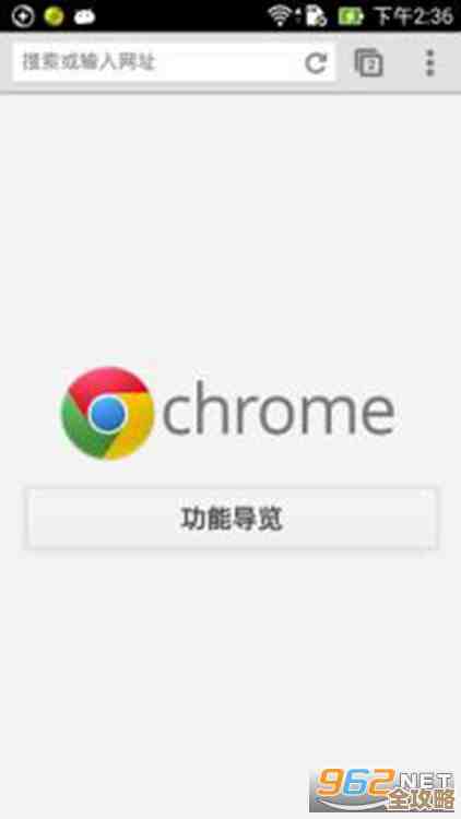 探索谷歌浏览器：打造您的个性化、安全且流畅的上网方式