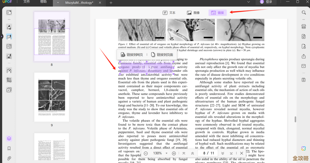 PDF文字编辑工具：高效便捷的解决方案让您轻松修改文档内容