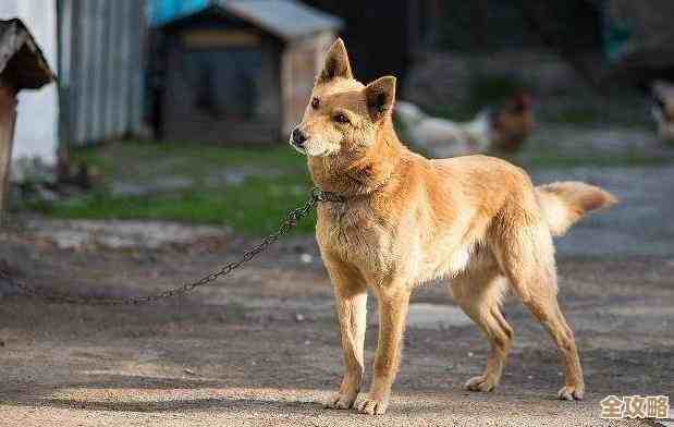 理解赫兹单位:揭秘其在科学与技术中的核心作用 理解赫兹单位:揭秘其在科学与技术中的核心作用