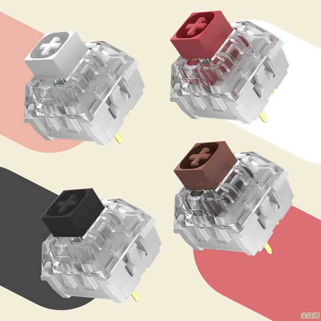 如何挑选机械键盘轴体？一份详尽的选购指南与技巧