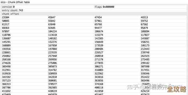 最新视频格式技术全解析，带你深入了解热门格式与前沿趋势！
