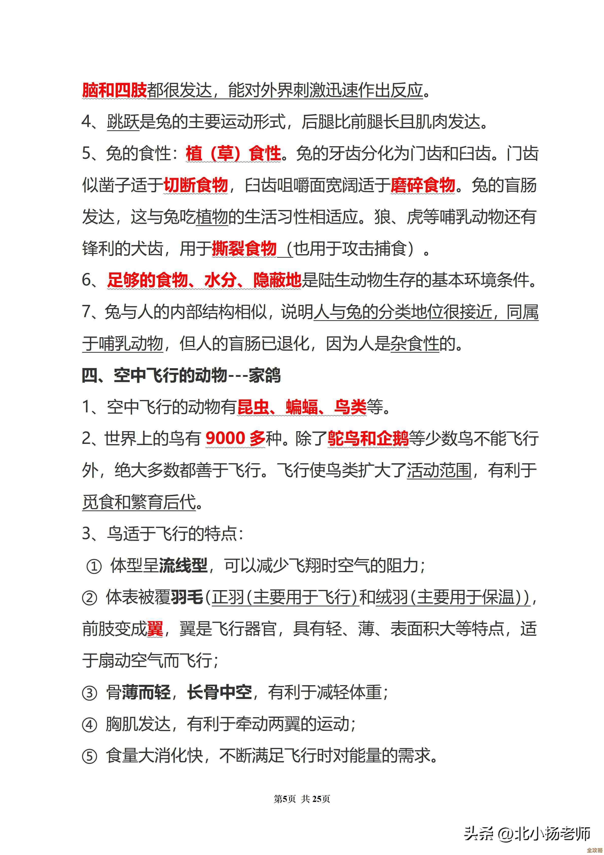 驾考宝典电脑端：详尽的考点覆盖与模拟练习，考试一次过关无忧！