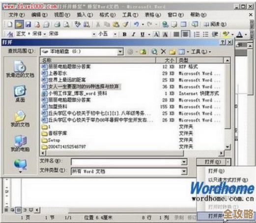 Word2003深度剖析：从基础操作到高级应用的完整介绍