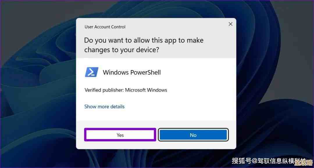 Windows 11 更新设置异常：找回消失的更新功能方法解析