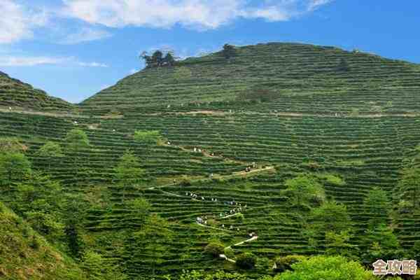 2022年最新CPU性能天梯图出炉，处理器排名一目了然