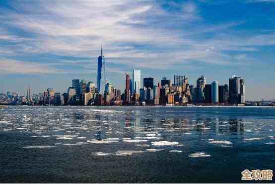 深入探讨双清的定义及其在实际应用中的具体意义