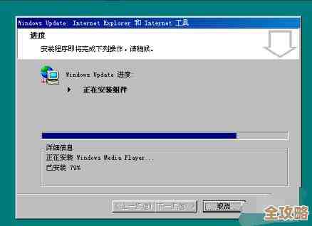 免费获取Internet Explorer最新版：完整下载与分步安装教程解析