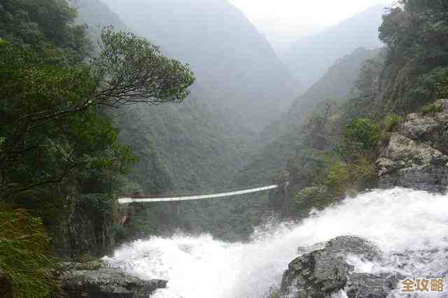 775针CPU性能天梯图：全面解析最新处理器性能排行与选购指南