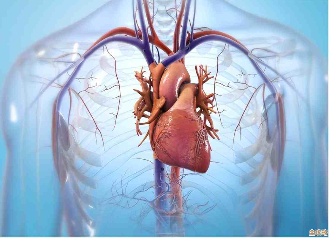 数据库编程里那些注释怎么写才算规范和实用一点吧