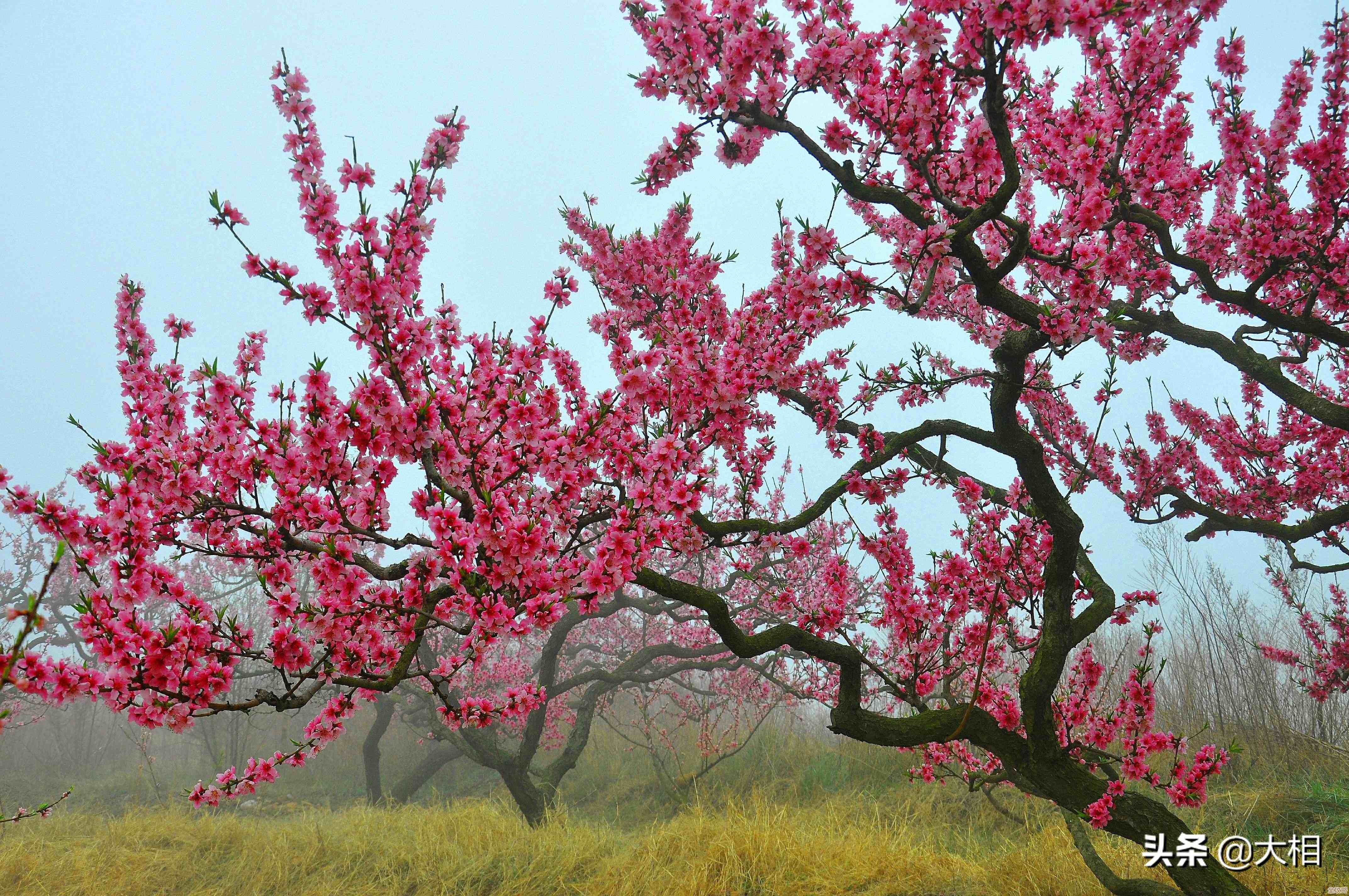 云计算基础设施需求忽上忽下，到底是啥原因让人摸不着头脑