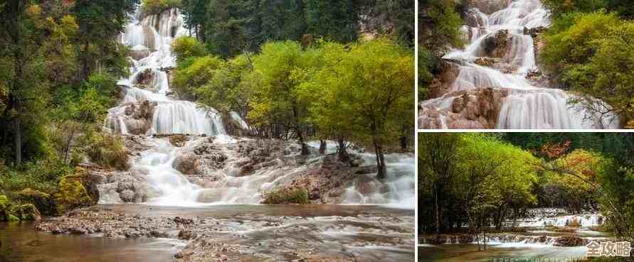 荒野日记房车设计与改装技巧，其实这些细节能让你省心省材料.