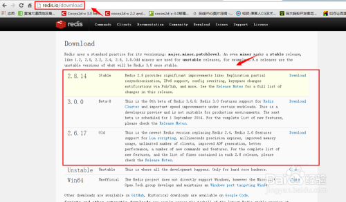 Redis极速客户端真心快到飞起，体验感受简直不能更爽了