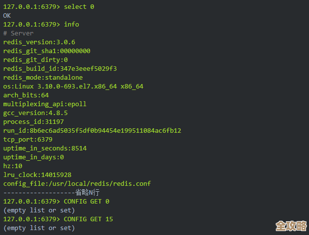 红色梦想里那些Redis画面怎么弄，教程一步步带你看懂Redis界面操作
