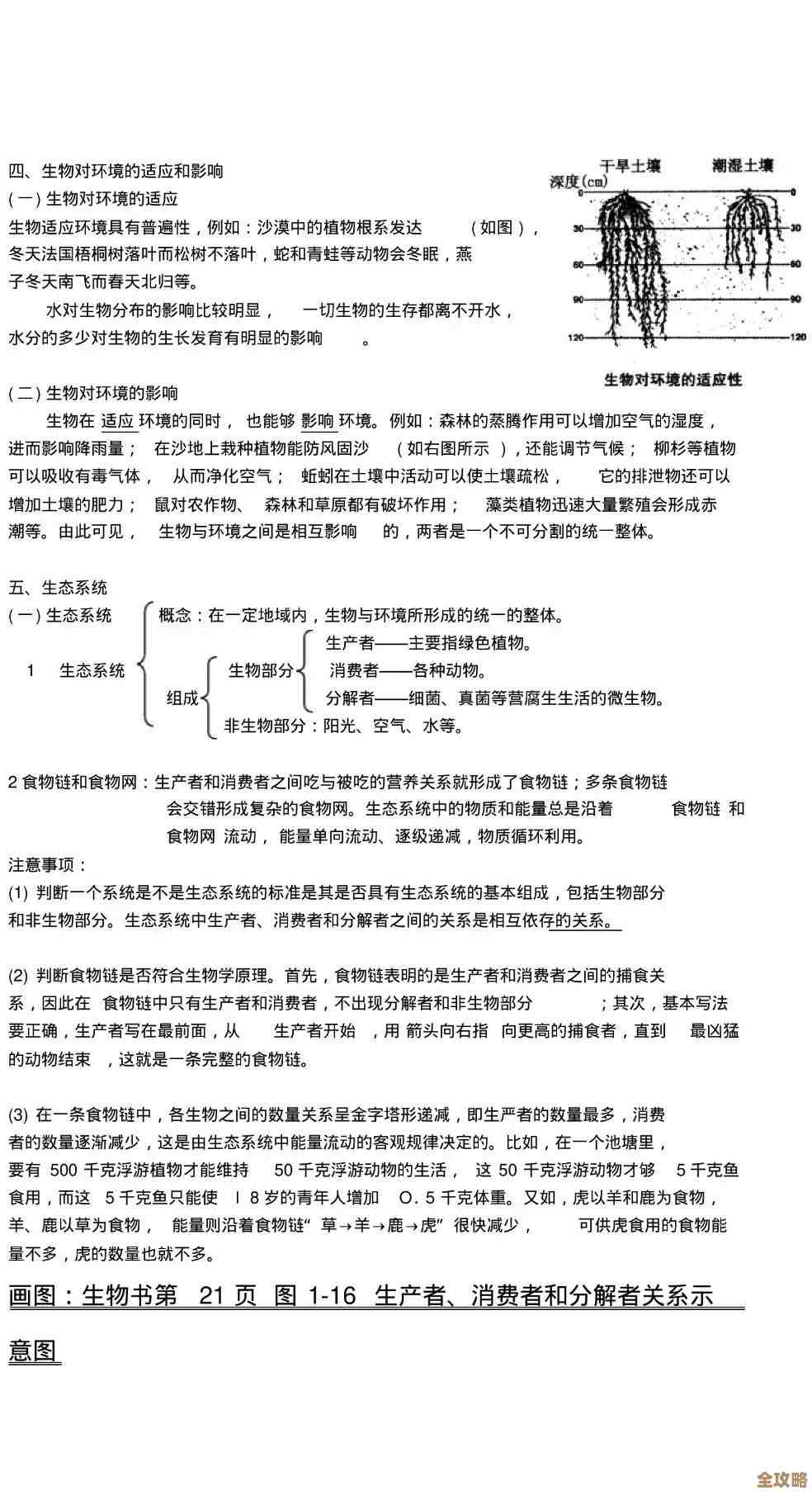 生物原型根须玩法浅谈—哪里能长、怎么用、错过会怎样