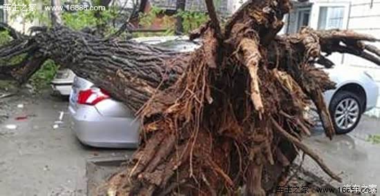 擂鼓车怎么玩才最心安?兵种搭配、阵型和那些被忽视的细节 擂鼓车怎么玩才最心安?兵种搭配、阵型和那些被忽视的细节