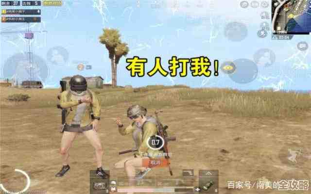 《向僵尸开炮》战场争霸阵容搭配，菜鸟摸索的乱七八糟笔记