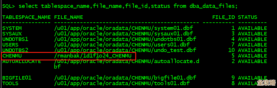 Oracle数据库用RMAN做不完全恢复，主要是按时间点来操作的那些步骤和注意事项讲解