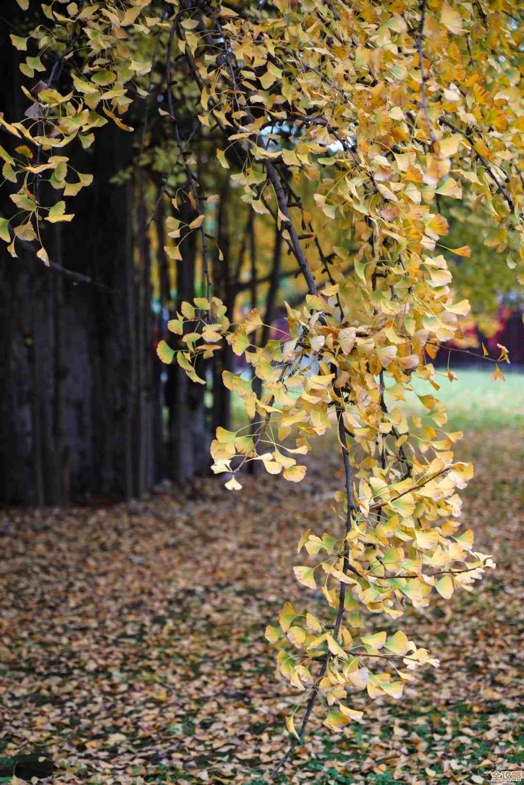 数据散落多云里，怎么才能让它们真正动起来呢？