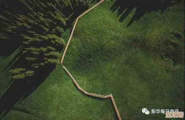 晚安森林里种植的农作物怎么收回，别急我说几招.