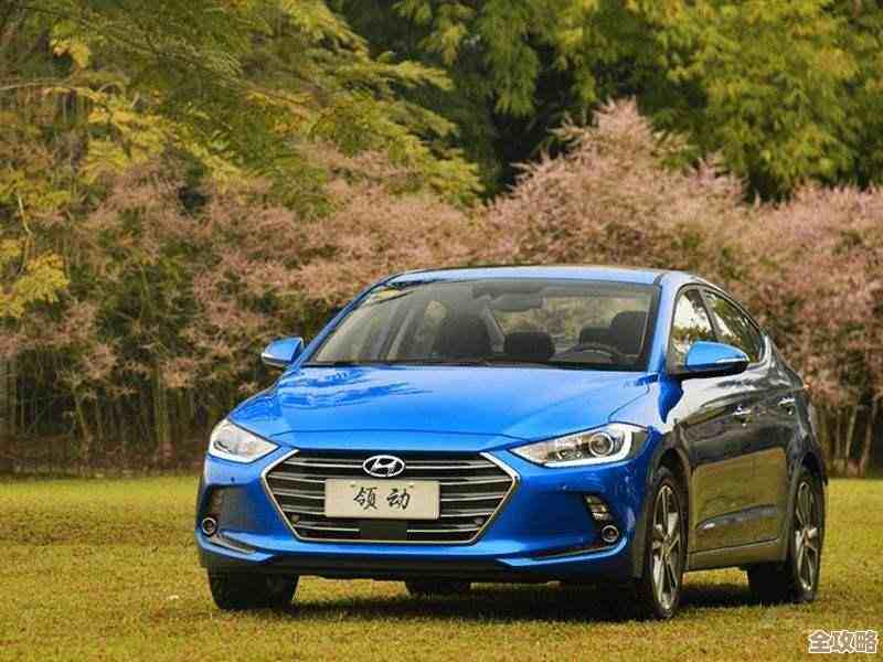 dnf增幅宝宝外观选哪个，男号女号审美不同，大家随便说说