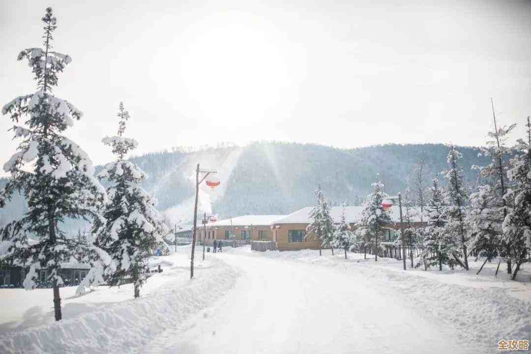 玩了几天的无尽冬日新手技巧乱记，省点心别摔跟头