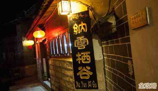 《神州小客栈》聚宝盆到底怎么用？碎碎念+实操小技巧都在这