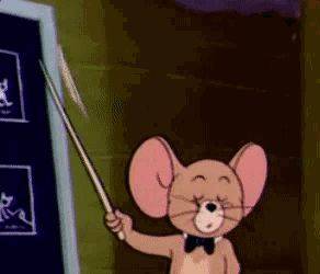 心动小镇的小猫怎样领养啊，步骤和小窍门都在这儿吧