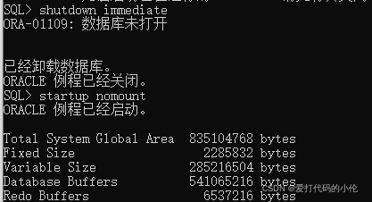 ORA-13010报错咋整啊，参数数量不对导致数据库出错远程帮忙修复