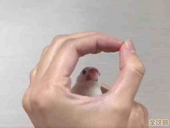 最近刷得多的转圈圈游戏,人气高到你想不到的几款 最近刷得多的转圈圈游戏,人气高到你想不到的几款