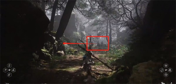 森林之子独滑翔翼在哪里,先说个大概位置和推荐理由吧 森林之子独滑翔翼在哪里,先说个大概位置和推荐理由吧