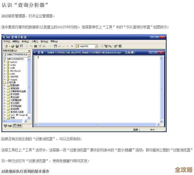 新版SQL Enlight的T-SQL分析器终于出来了，感觉挺有看头的