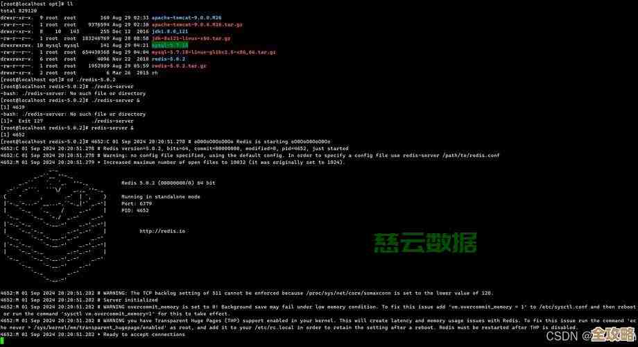 Redis突然崩溃了，紧急排查和快速恢复的那些事儿分享