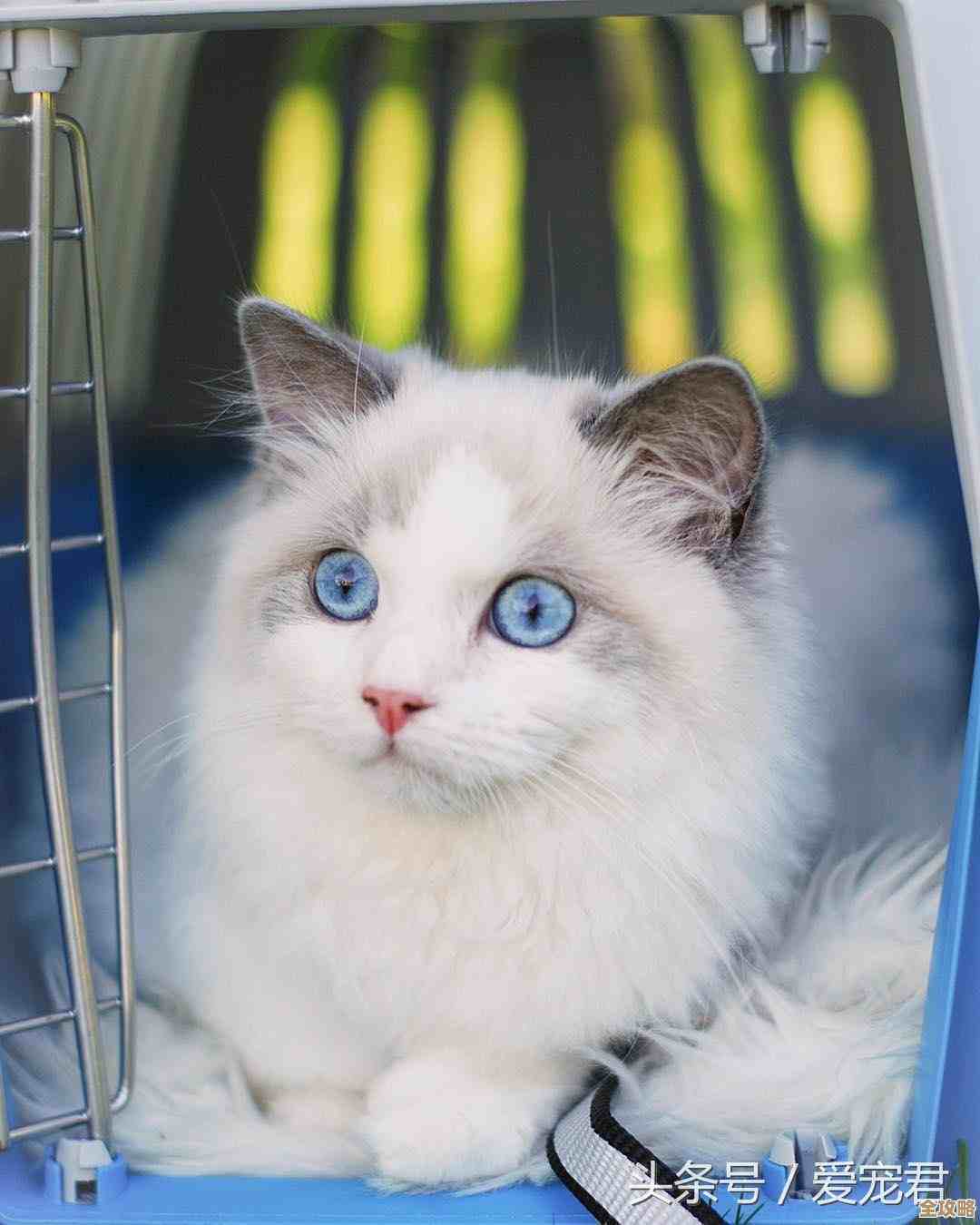 真三国无双起源获取全毕业武器路线和懒人捷径，碎碎念