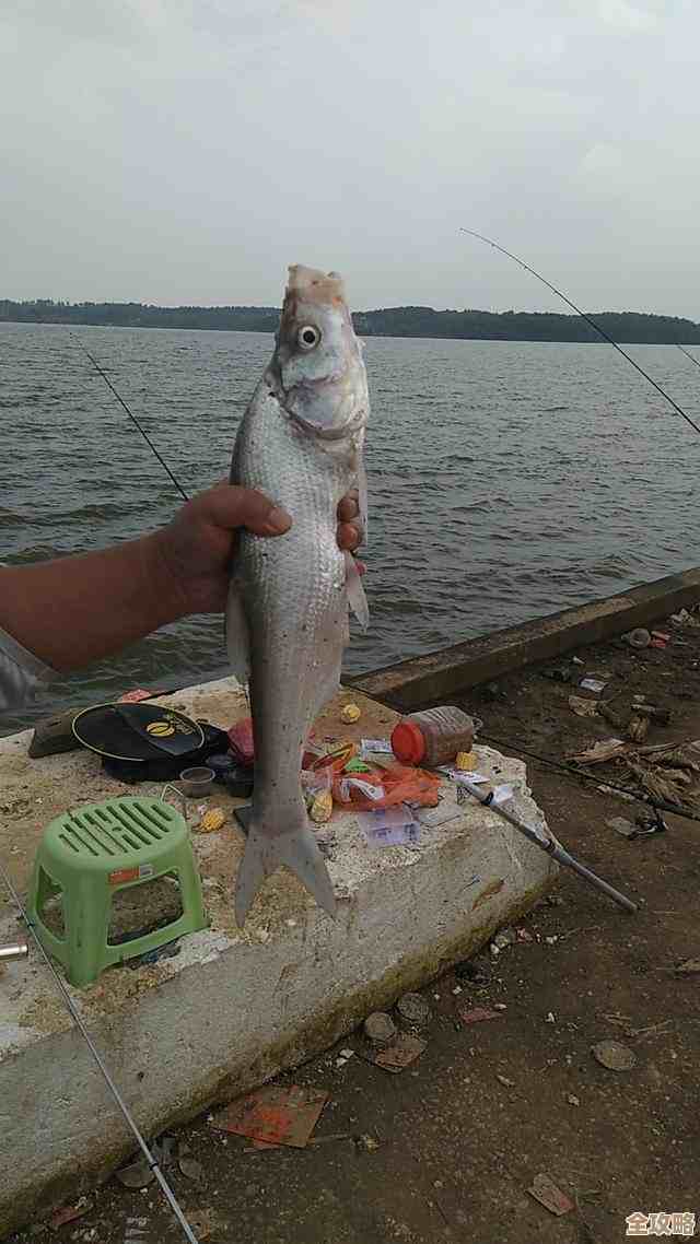 Oracle游标那点事儿，动态用法其实没那么难理解