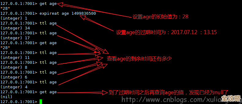 Redis里头怎么配数据过期，顺便聊聊那些用过期功能的场景和坑
