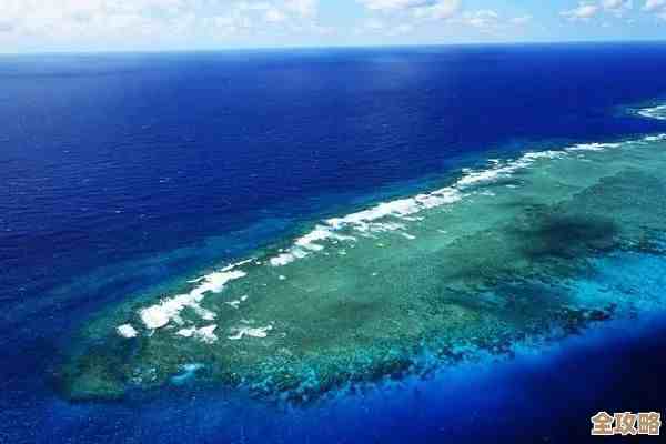 露玛岛丛林岛太古书籍藏哪儿了走位去找别错过