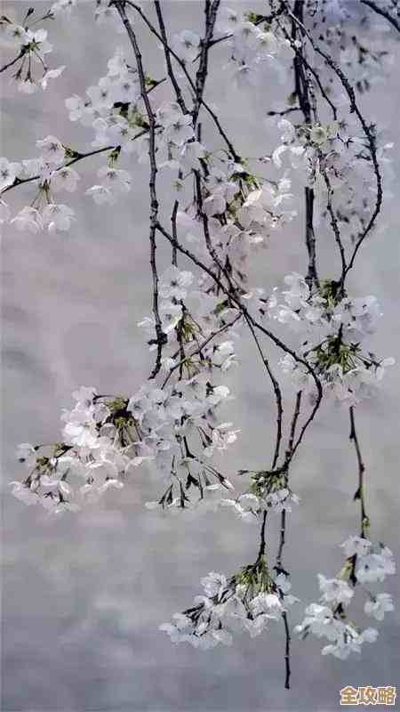 樱火机甲技能拆解，交错战线中爆发与操作要点.