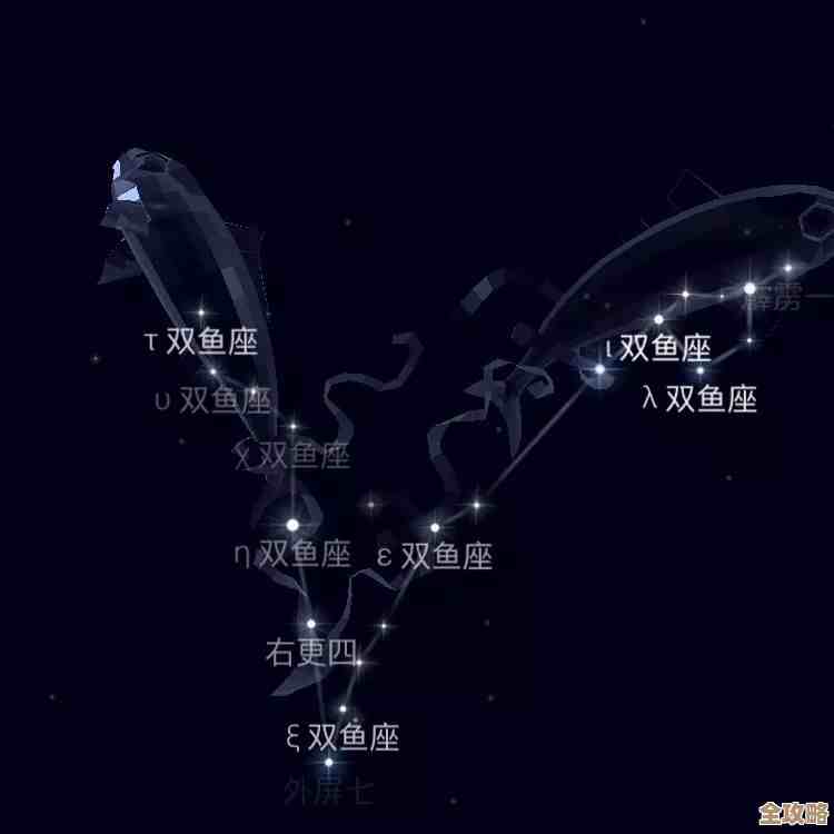 星露谷海莉行程安排都在哪转悠，什么时候能遇到她.