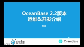 树叶云带你简单聊聊OceanBase里那些表达式列表到底是啥意思和怎么用