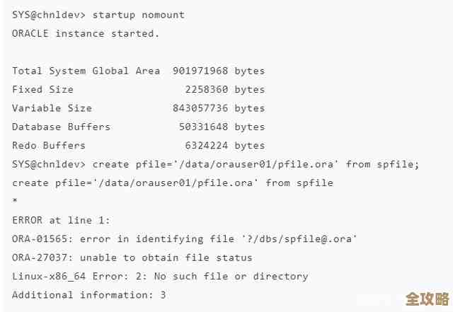 ORA-19103报错出现VALUE关键字问题，远程帮忙修复故障方法分享