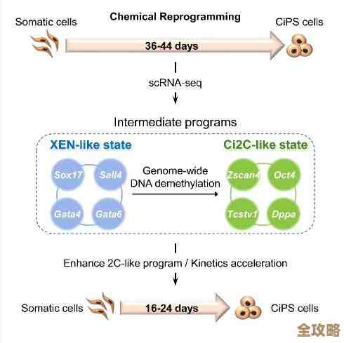 ci框架里数据库操作怎么能更快点，写代码的时候总觉得还能优化吧