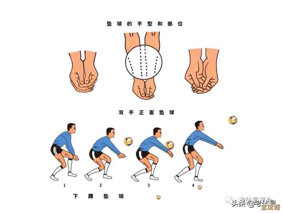 排球少年里的球员专项训练方法，练出关键技术要点和心态…