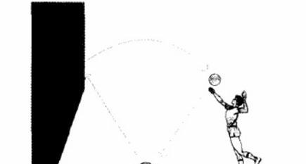 排球少年里的球员专项训练方法，练出关键技术要点和心态…