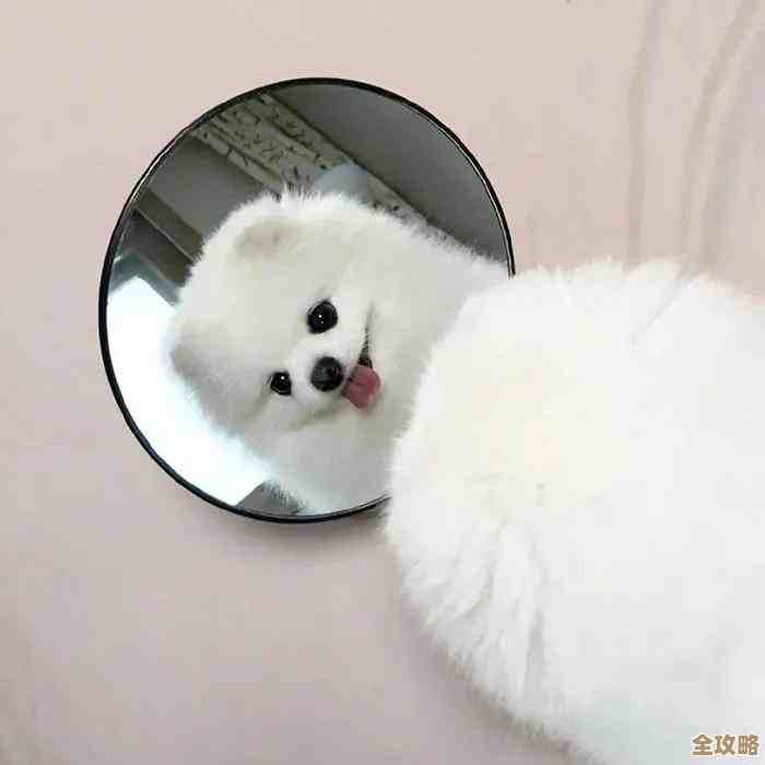 抖音评论只给互关朋友看，设置步骤别慌，看这篇