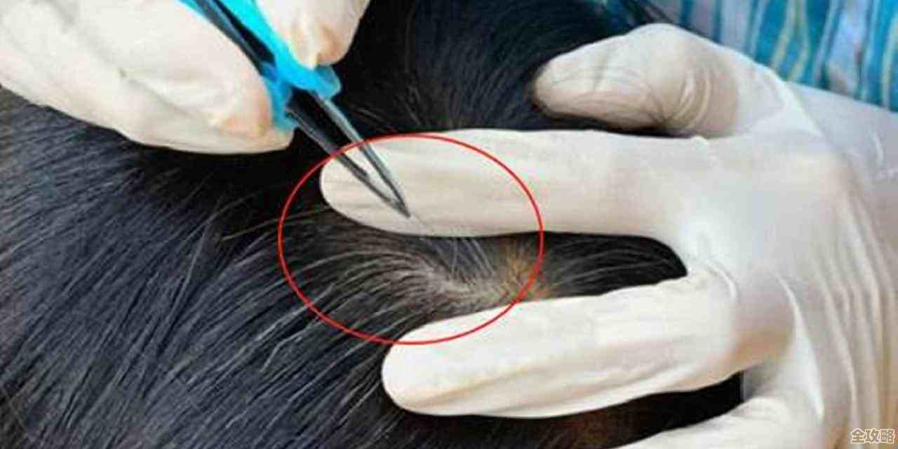 拔掉一根白发会不会瞬间冒出十根啊，真有这么恐怖吗…