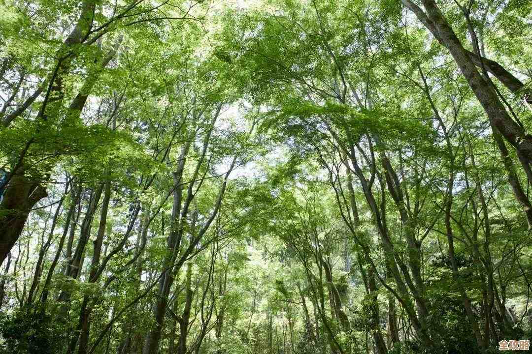 最终幻想14：水晶世界里想拿黑豆柴宠物要怎么弄…有点绕