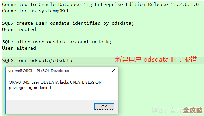 ORA-54607报错咋整，CREATE_PC从输入点表取数据失败，远程帮忙修复故障
