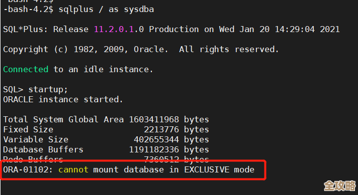 ORA-13036点数据操作不支持报错修复远程帮忙解决方案
