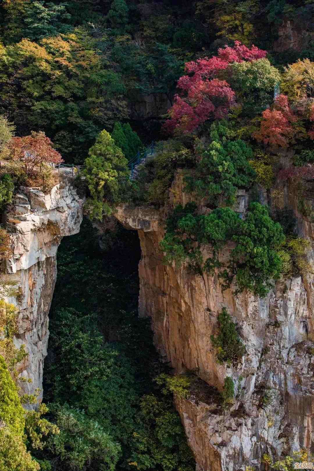心动小镇家园地块解锁方法，先别急着花资源，这些步骤你可能会漏掉.
